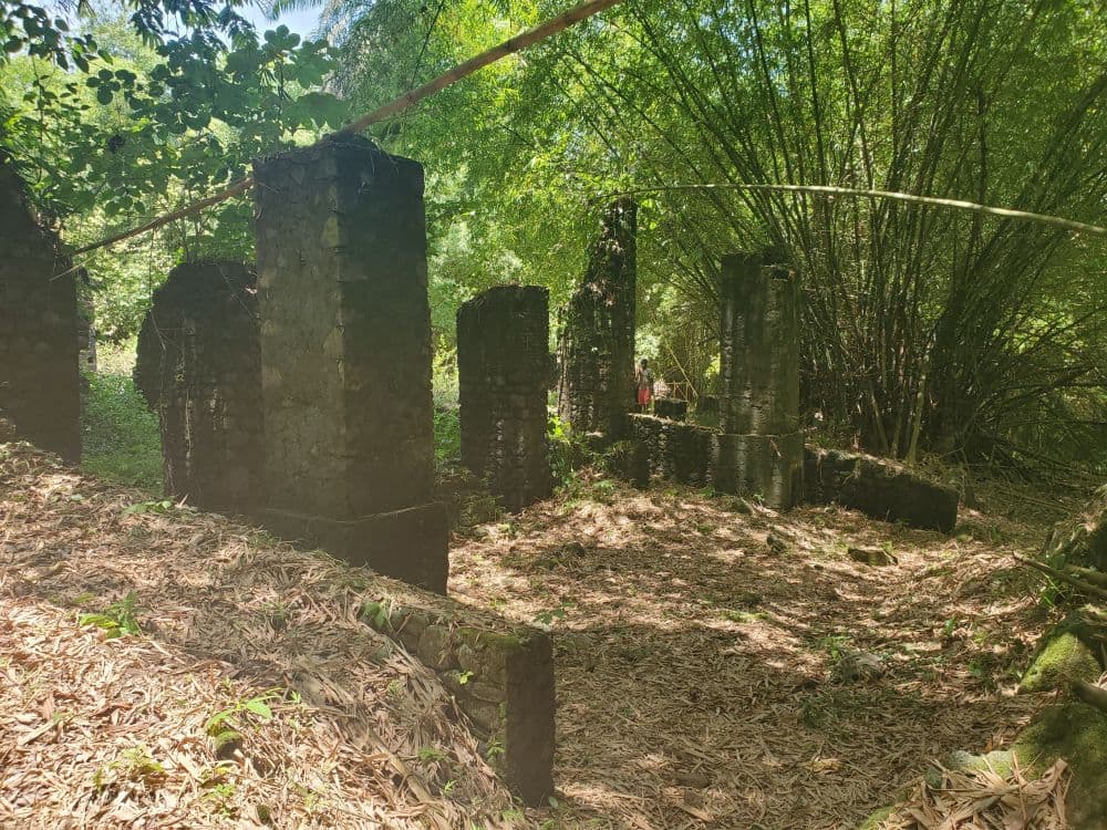 Germano Douala Treaty